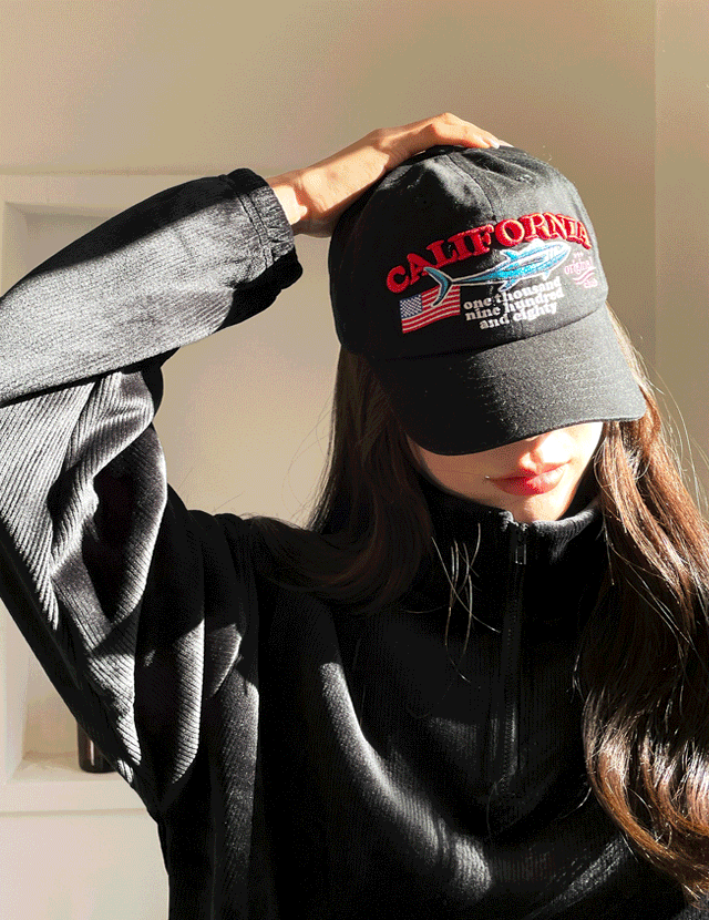 <b>ǽ ڼ ͸ -cap</b>